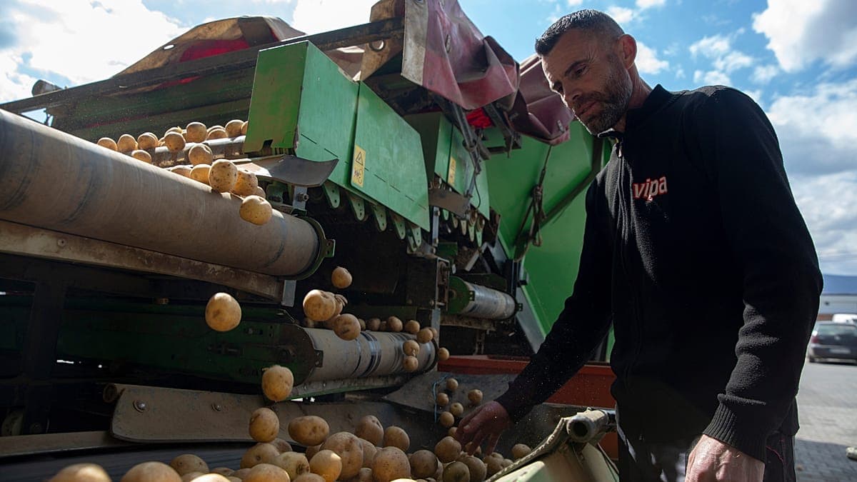 Potato futures soar 700% in less than a month on Iran war speculation