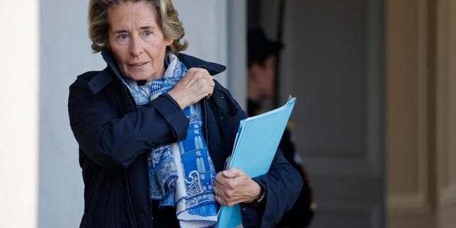 Caroline Cayeux et David Douillet reconnaissent devant la justice avoir minoré leurs patrimoines respectifs